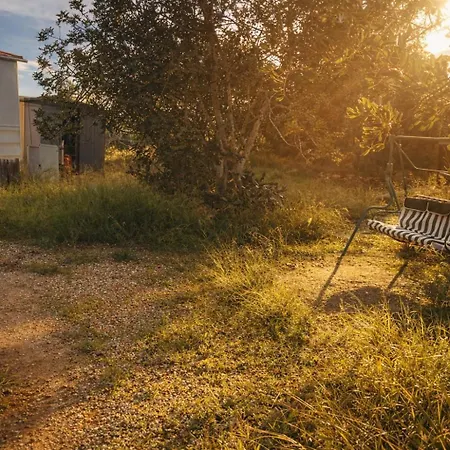 Campsite A Place Where Nothing Is Expected *