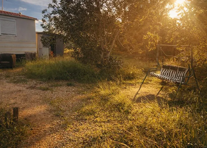 Campsite A Place Where Nothing Is Expected *