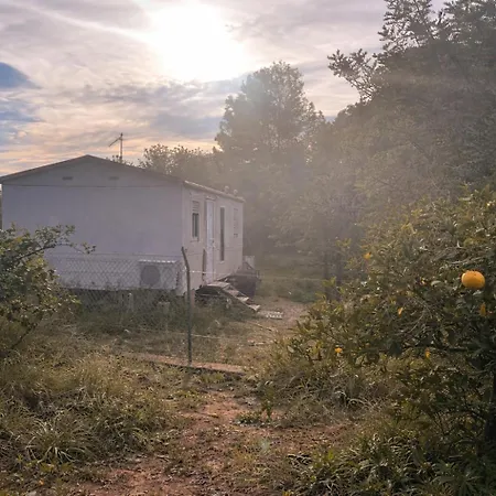 مكان تخييم A Place Where Nothing Is Expected *